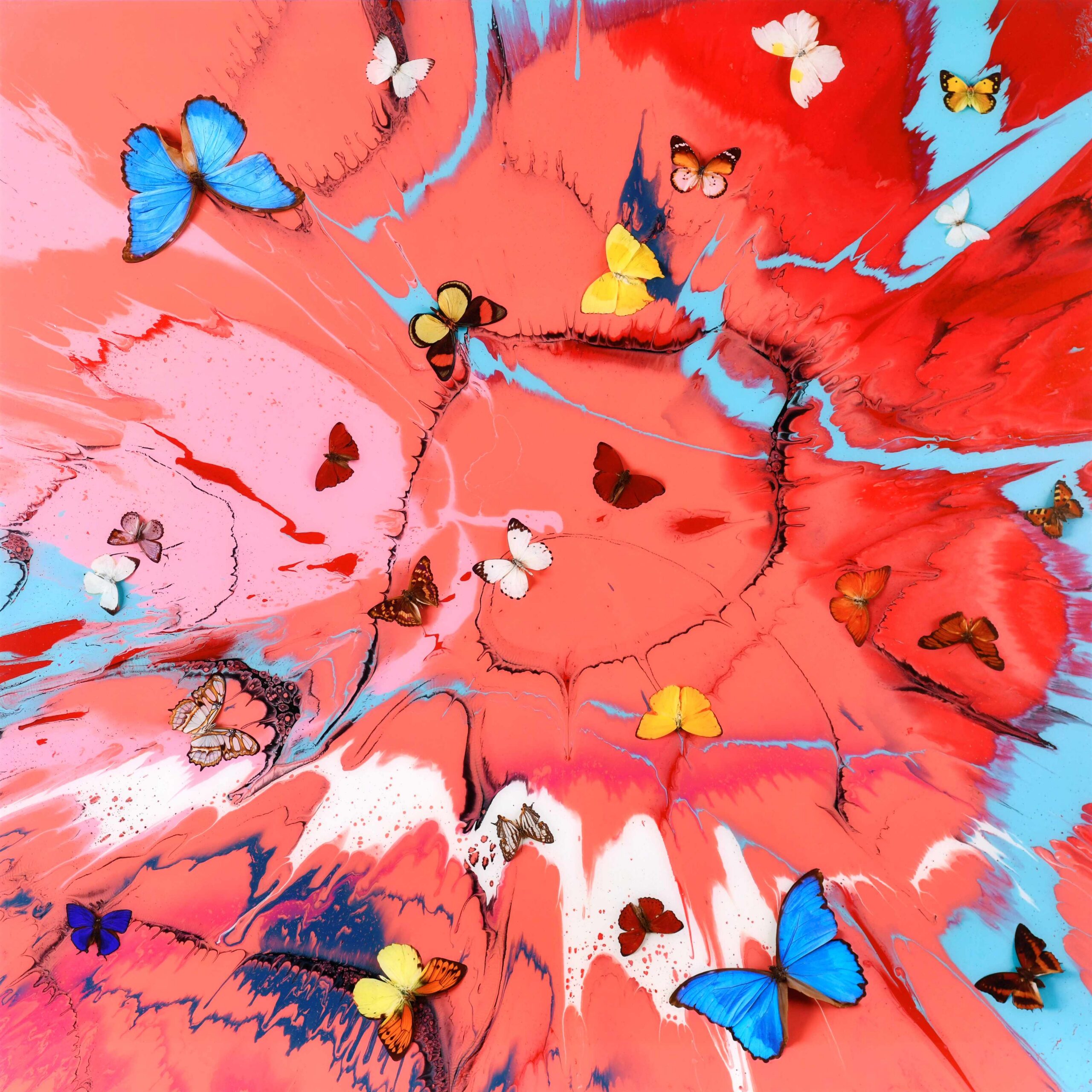 Angelic Seraph by Damien Hirst featuring a dynamic splash of pink, red, and light blue paint, adorned with various realistic butterflies.