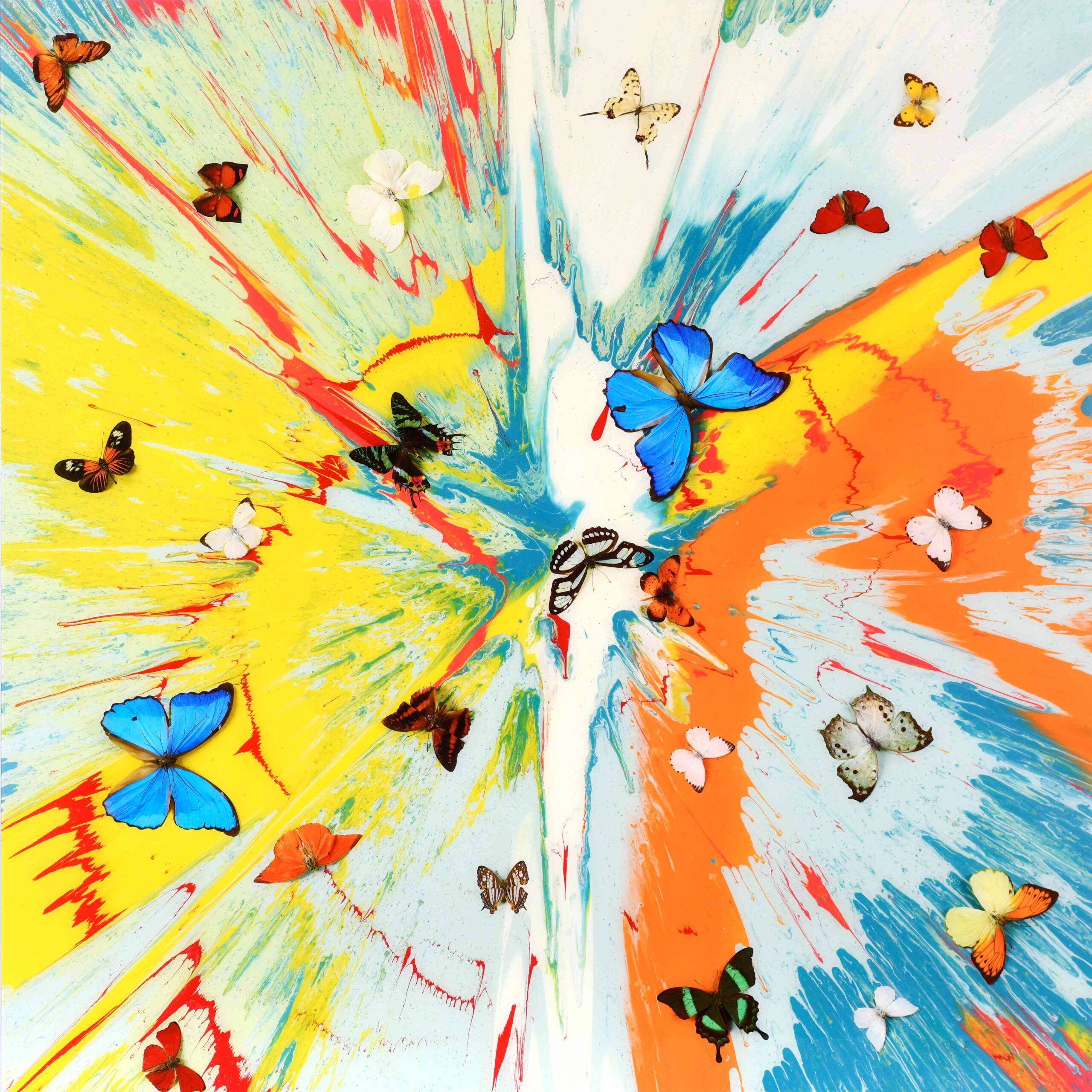 Transient Ephemera by Damien Hirst titled 'Transient Ephemera', featuring a dynamic explosion of yellow, orange, and blue paint adorned with butterflies.